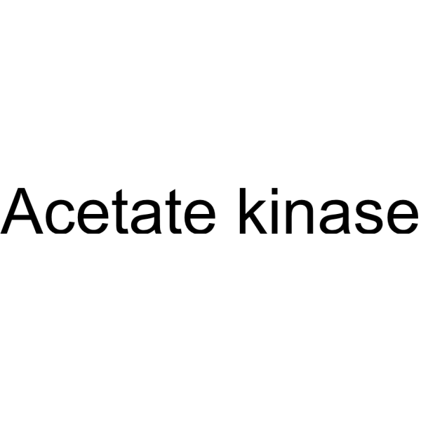Acetate kinase (ACK) 9027-42-3